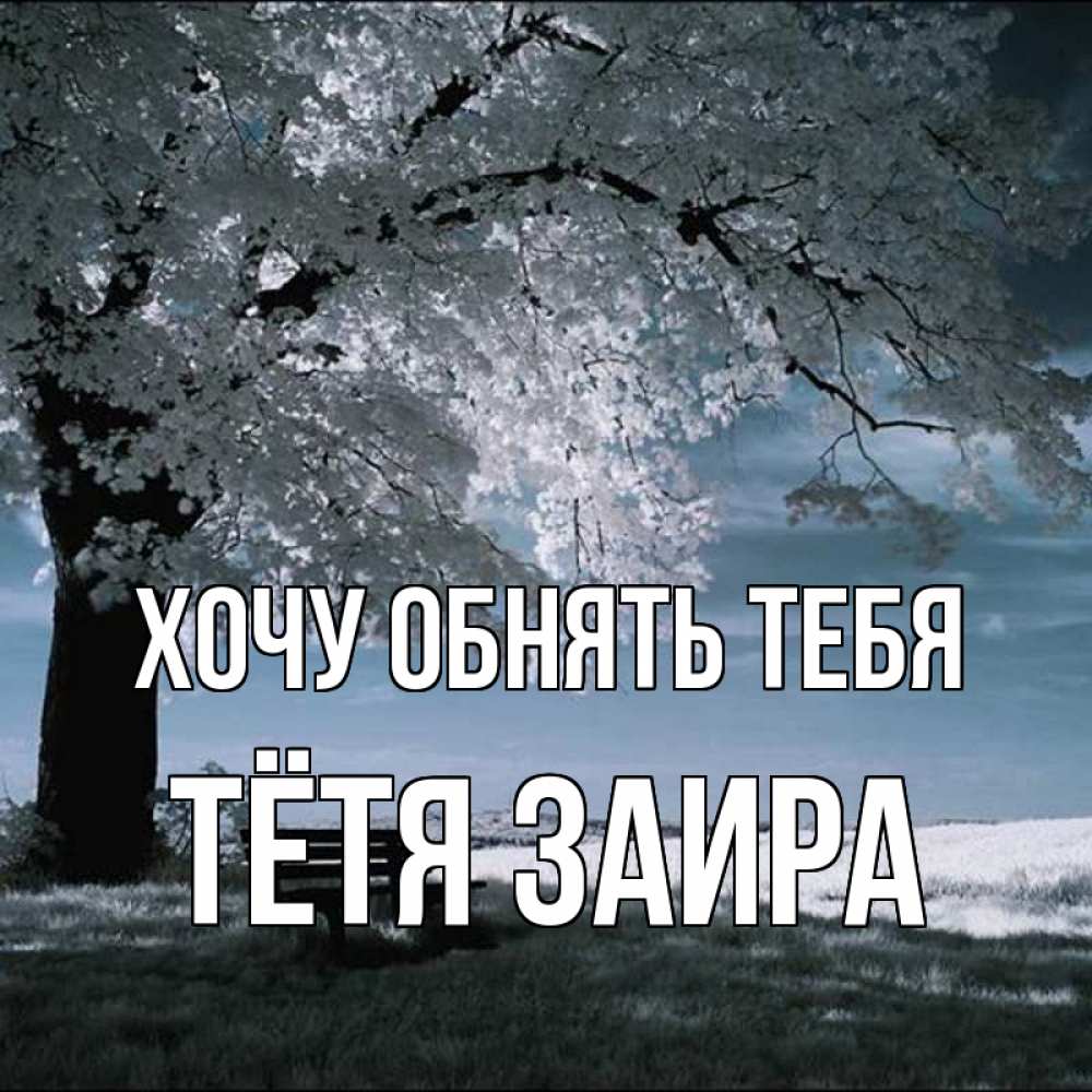 Открытка на каждый день с именем, Тётя-Заира Хочу обнять тебя дерево Прикольная открытка с пожеланием онлайн скачать бесплатно 