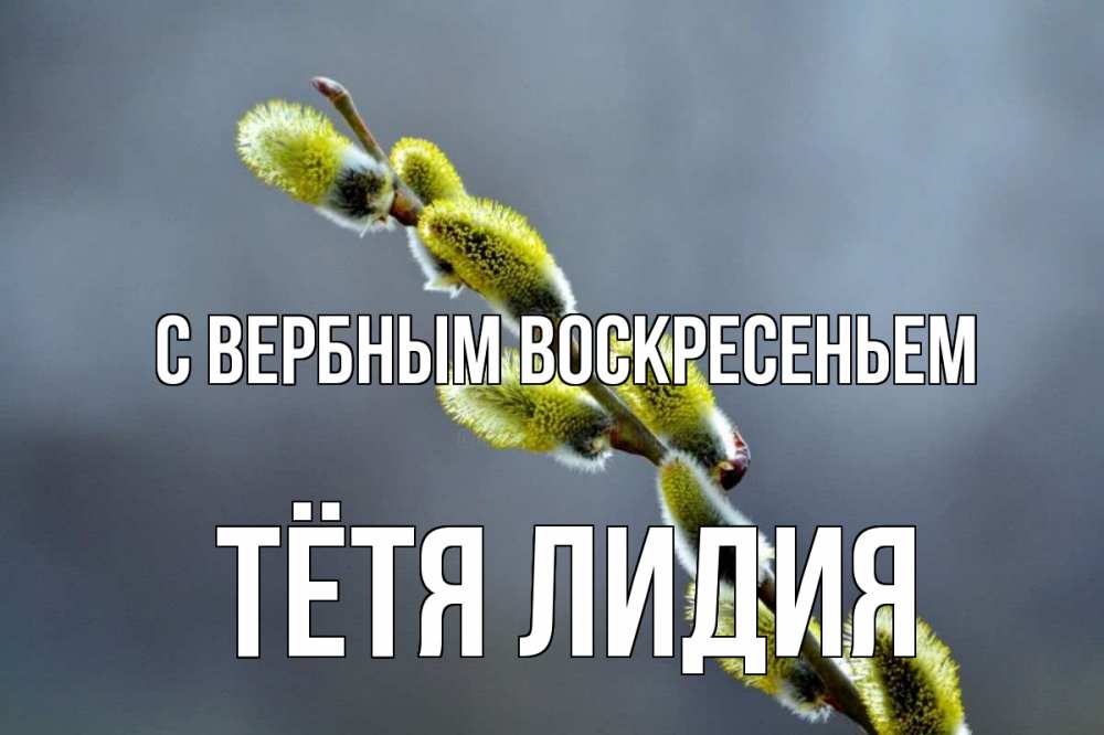 Открытка на каждый день с именем, Тётя-Лидия С вербным воскресеньем верба Прикольная открытка с пожеланием онлайн скачать бесплатно 