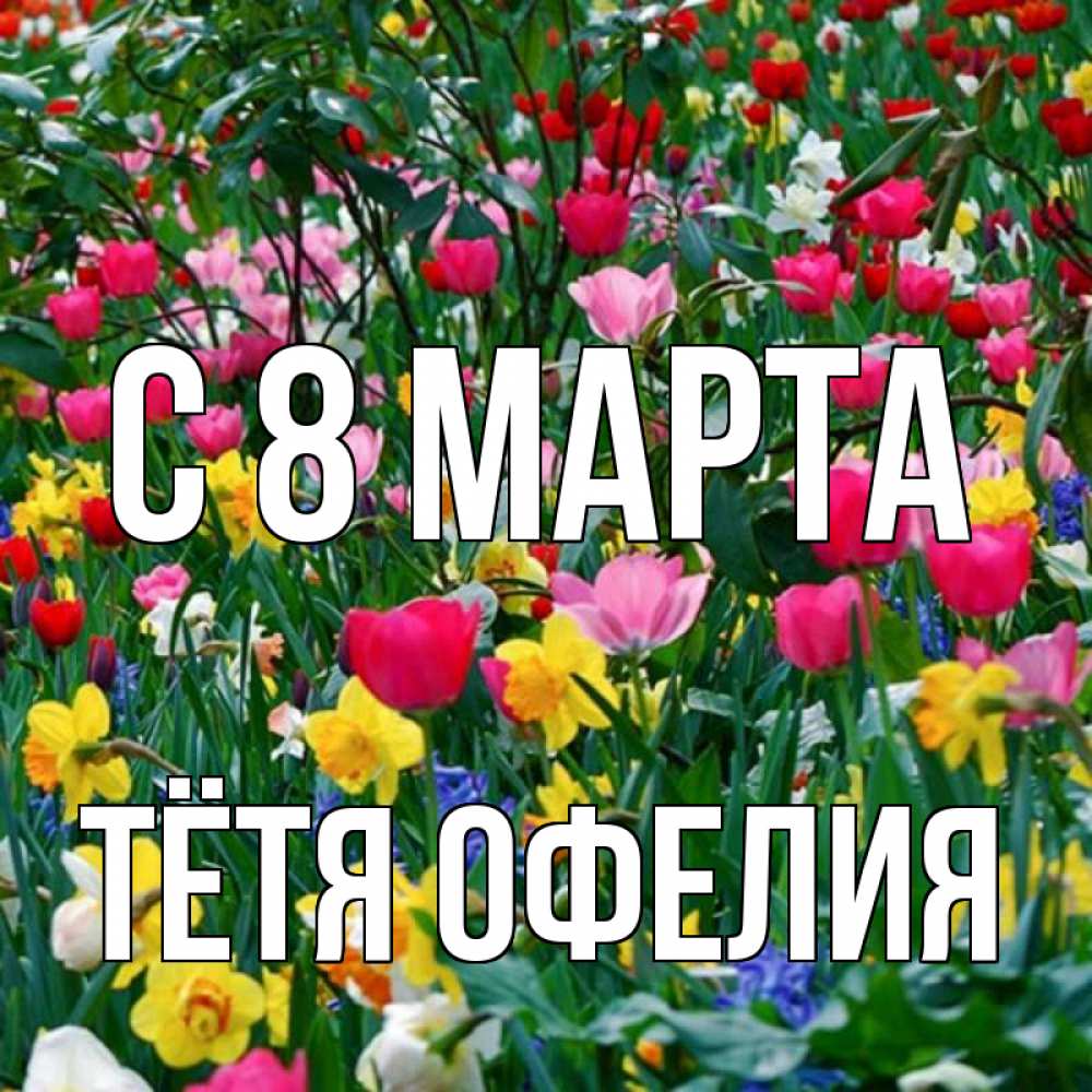 Открытка на каждый день с именем, Тётя-Офелия С 8 МАРТА с международным женским днем поздравления для женщины Прикольная открытка с пожеланием онлайн скачать бесплатно 