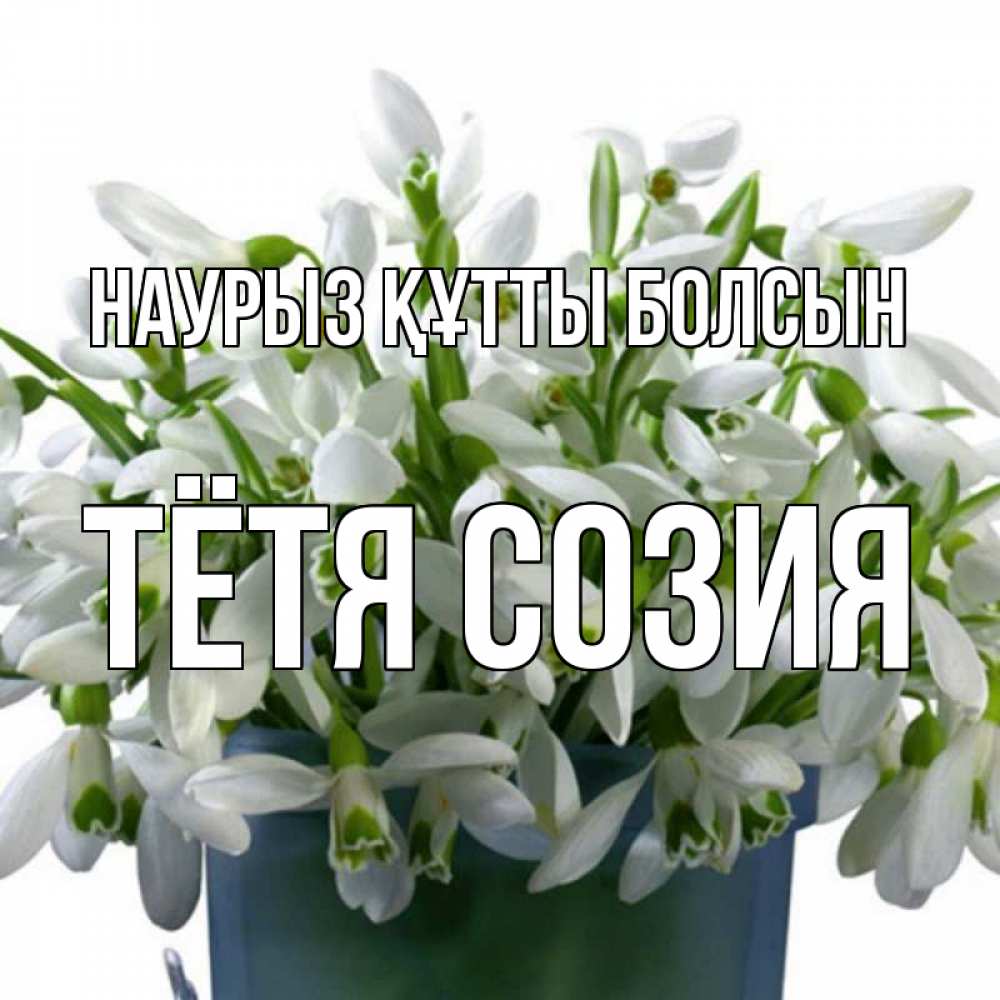 Открытка на каждый день с именем, Тётя-Созия Наурыз құтты болсын цветы к наурызу Прикольная открытка с пожеланием онлайн скачать бесплатно 