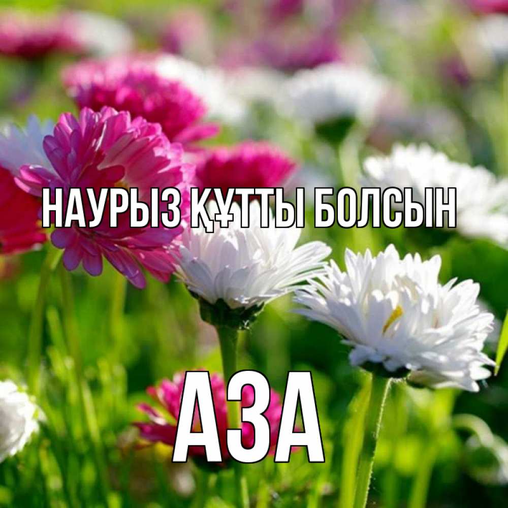 Открытка на каждый день с именем, Аза Наурыз құтты болсын наурыз Прикольная открытка с пожеланием онлайн скачать бесплатно 