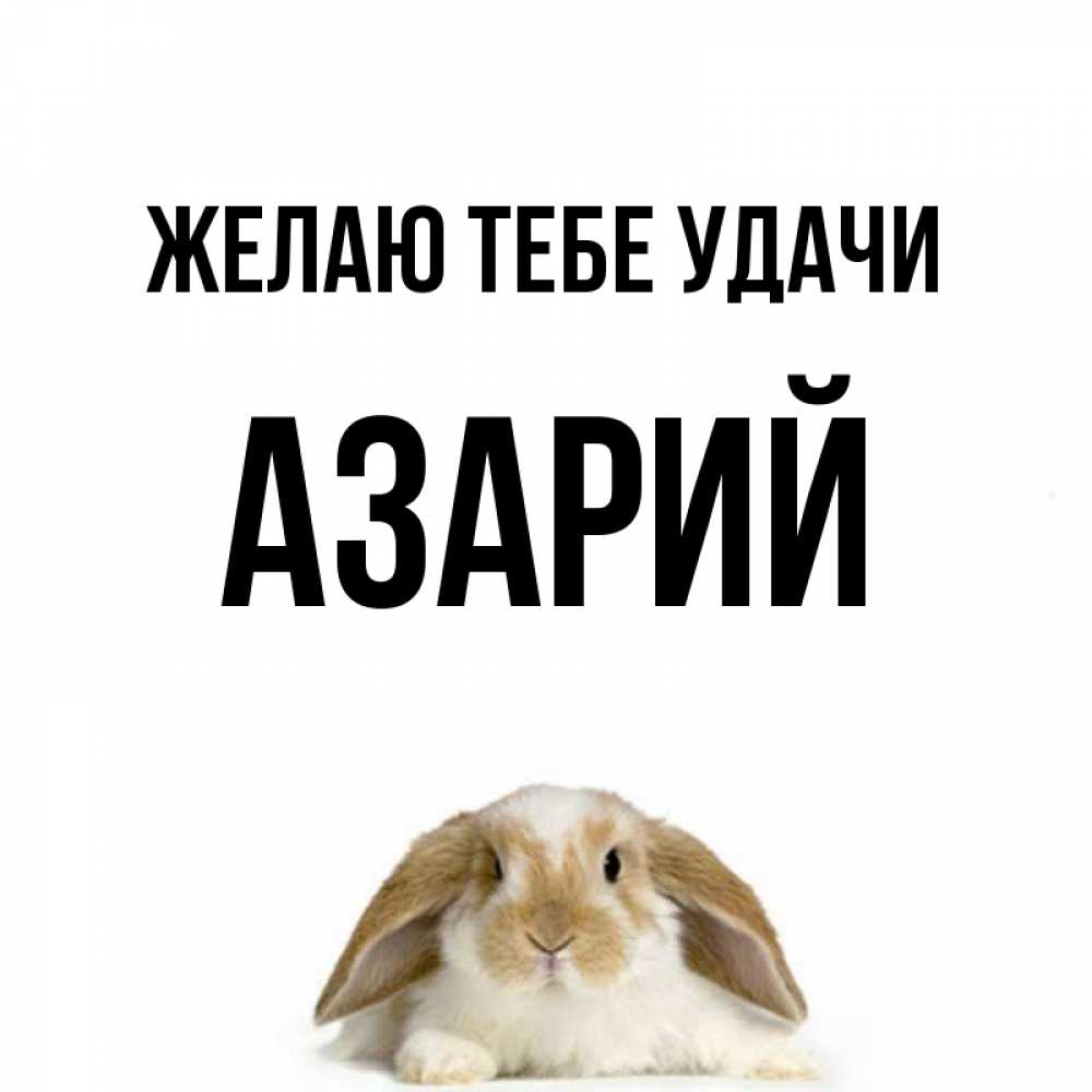 Открытка на каждый день с именем, Азарий Желаю тебе удачи открытки с произвольным текстом который можно вставить в открытку и создать ее самостоятельно бесплатно онлайн Прикольная открытка с пожеланием онлайн скачать бесплатно 