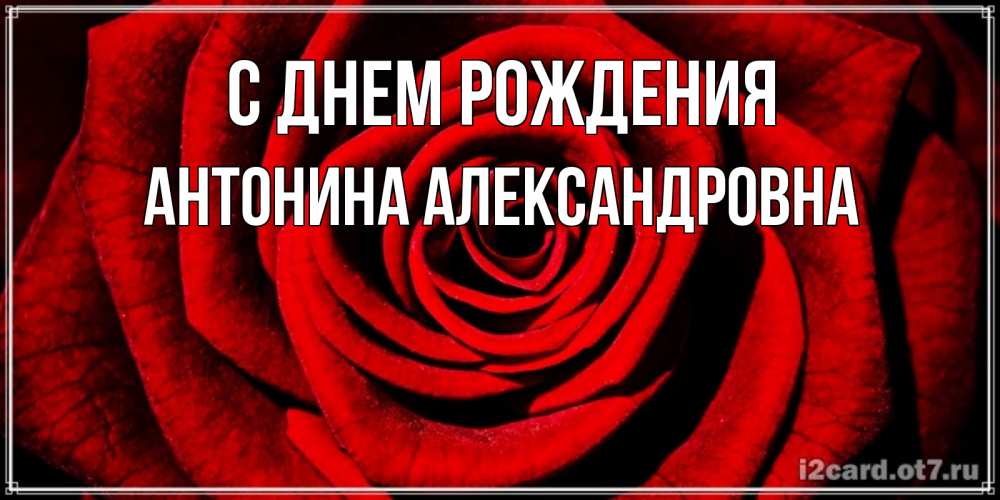 Открытка на каждый день с именем, Антонина-Александровна С днем рождения алая роза Прикольная открытка с пожеланием онлайн скачать бесплатно 