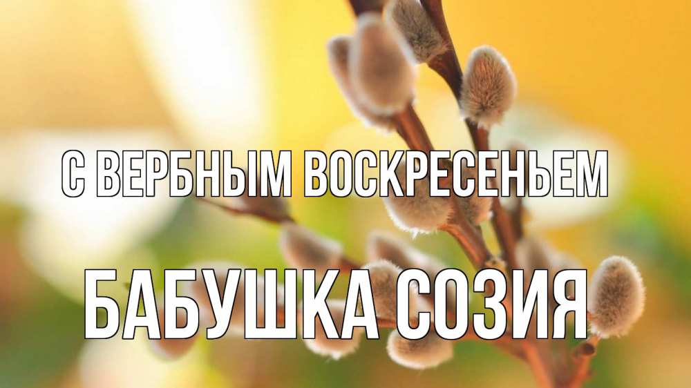 Открытка на каждый день с именем, Бабушка-Созия С вербным воскресеньем верба 1 Прикольная открытка с пожеланием онлайн скачать бесплатно 