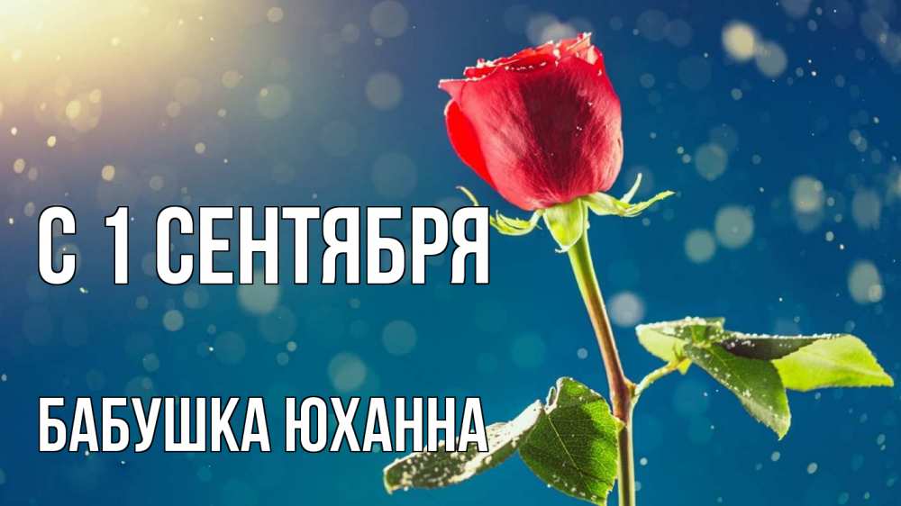 Открытка на каждый день с именем, Бабушка-Юханна С 1 сентября с днем знаний Прикольная открытка с пожеланием онлайн скачать бесплатно 