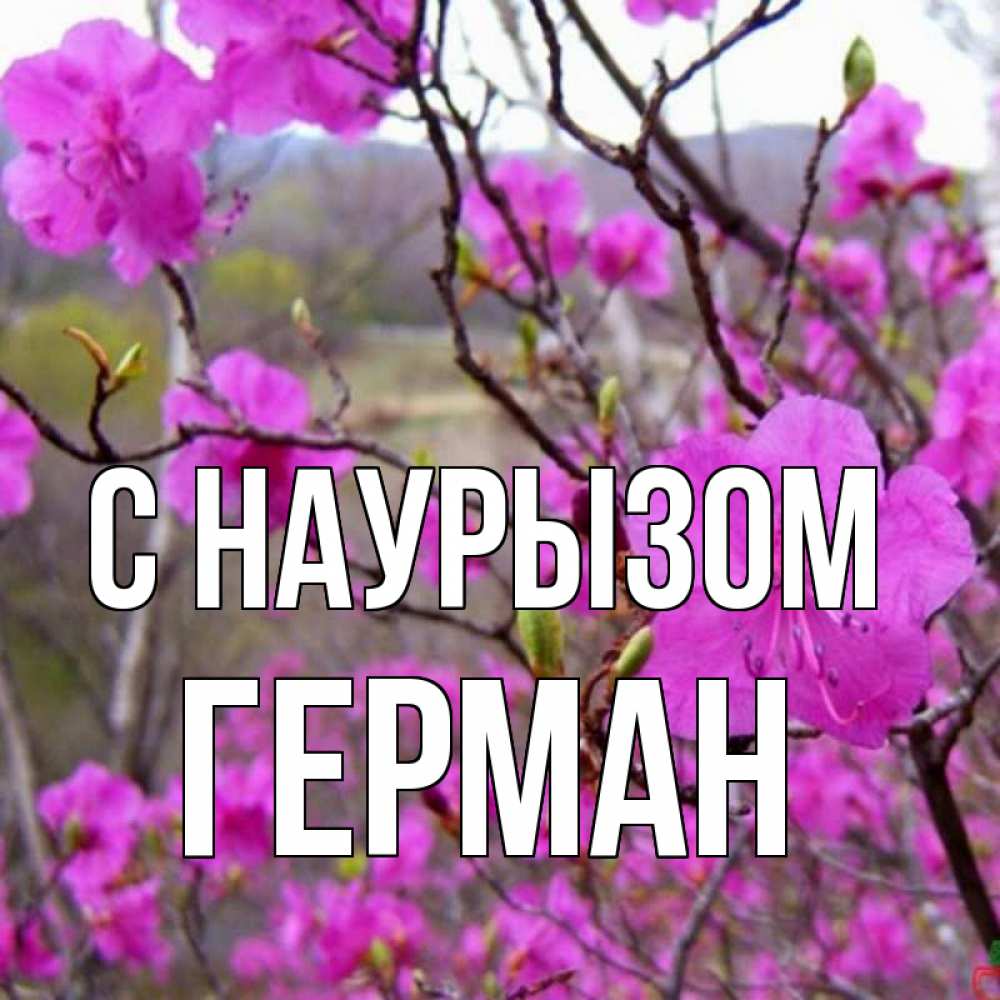 Открытка на каждый день с именем, Герман С наурызом праздник весны наурыз Прикольная открытка с пожеланием онлайн скачать бесплатно 