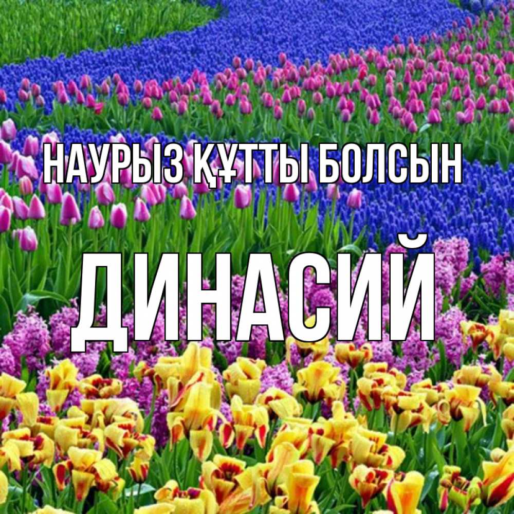 Открытка на каждый день с именем, Динасий Наурыз құтты болсын цветы Прикольная открытка с пожеланием онлайн скачать бесплатно 
