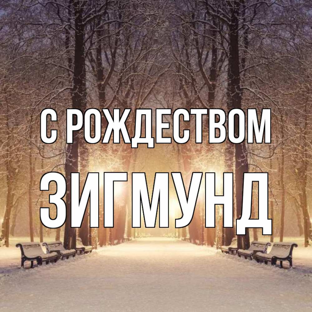 Открытка на каждый день с именем, Зигмунд С рождеством зима, парк, фонарь, лес Прикольная открытка с пожеланием онлайн скачать бесплатно 