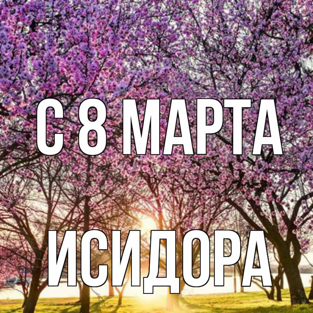 Открытка на каждый день с именем, Исидора С 8 МАРТА международный женский день Прикольная открытка с пожеланием онлайн скачать бесплатно 