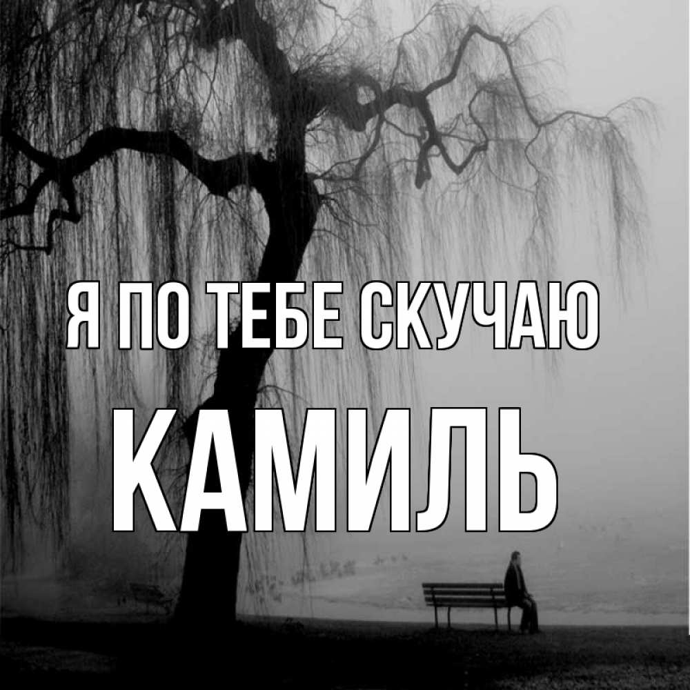 Открытка на каждый день с именем, Камиль Я по тебе скучаю лавочка под деревом я жду тебя Прикольная открытка с пожеланием онлайн скачать бесплатно 