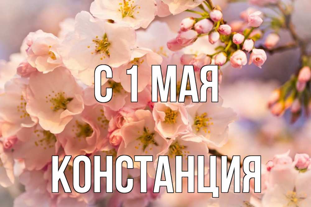 Открытка на каждый день с именем, Констанция С 1 мая С 1 мая Прикольная открытка с пожеланием онлайн скачать бесплатно 