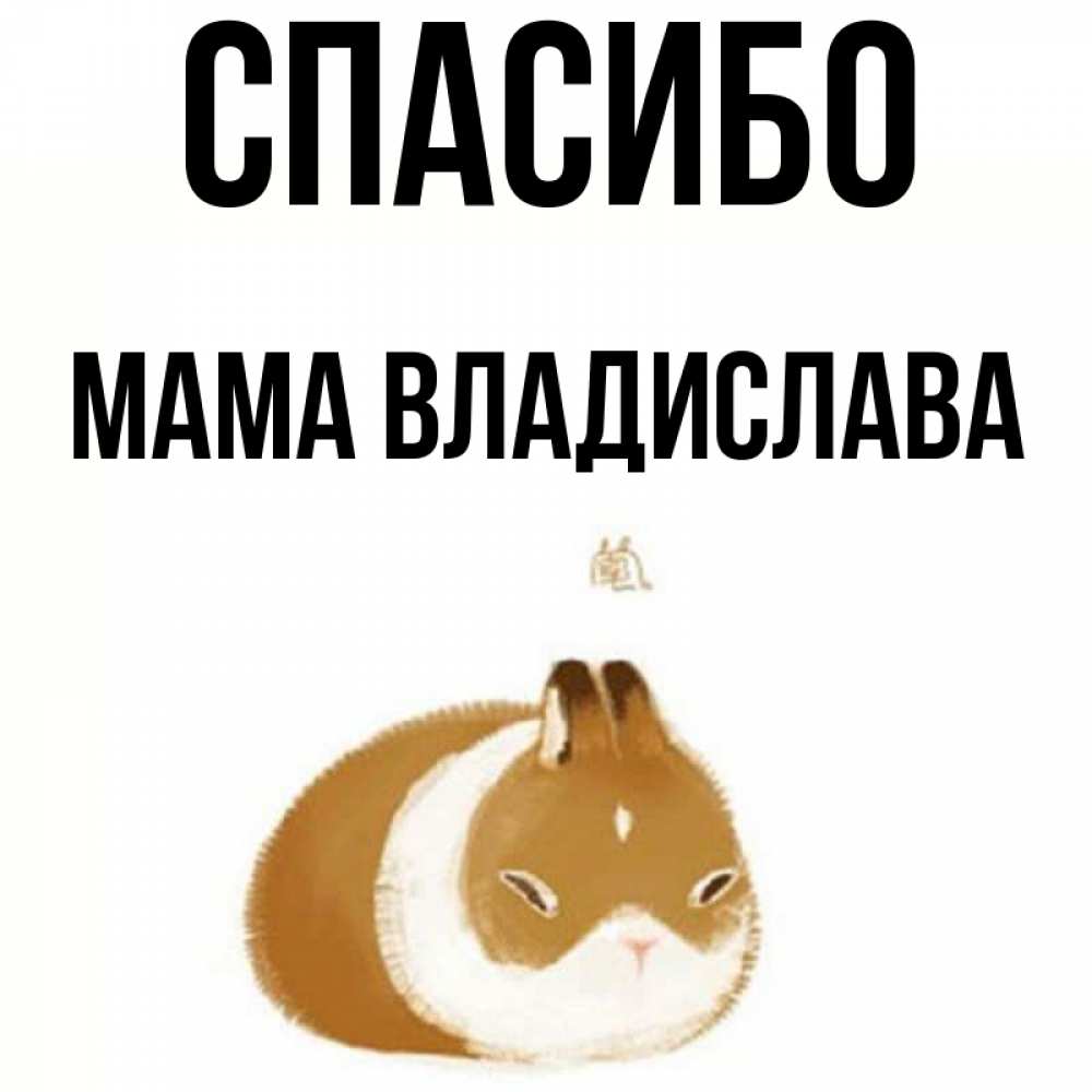 Открытка на каждый день с именем, Мама-Владислава Спасибо коричнево белый домашний питомец Прикольная открытка с пожеланием онлайн скачать бесплатно 