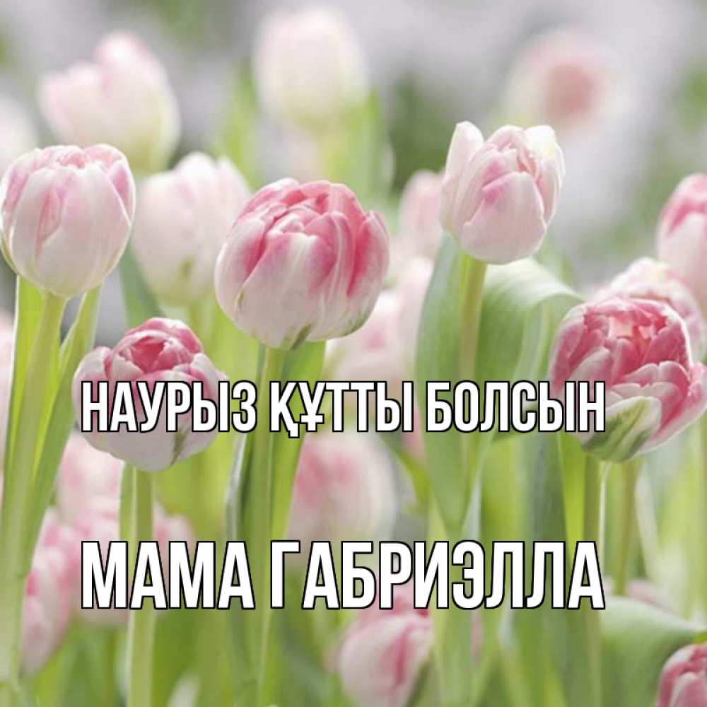 Открытка на каждый день с именем, Мама-Габриэлла Наурыз құтты болсын цветы Прикольная открытка с пожеланием онлайн скачать бесплатно 