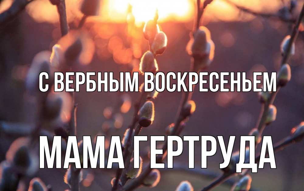Открытка на каждый день с именем, Мама-Гертруда С вербным воскресеньем верба Прикольная открытка с пожеланием онлайн скачать бесплатно 