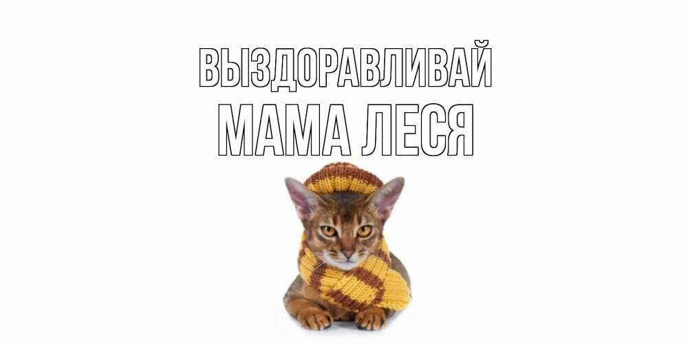 Открытка на каждый день с именем, Мама-Леся Выздоравливай родные не болейте Прикольная открытка с пожеланием онлайн скачать бесплатно 