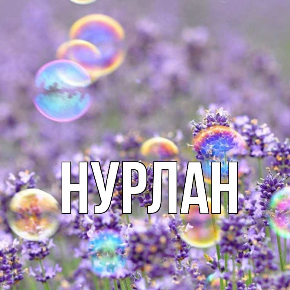 Открытка на каждый день с именем, Нурлан Главная цветы Прикольная открытка с пожеланием онлайн скачать бесплатно 