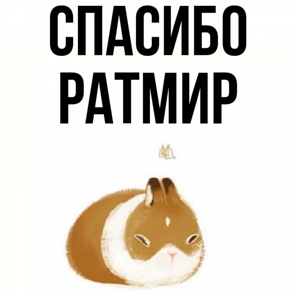 Открытка на каждый день с именем, Ратмир Спасибо коричнево белый домашний питомец Прикольная открытка с пожеланием онлайн скачать бесплатно 