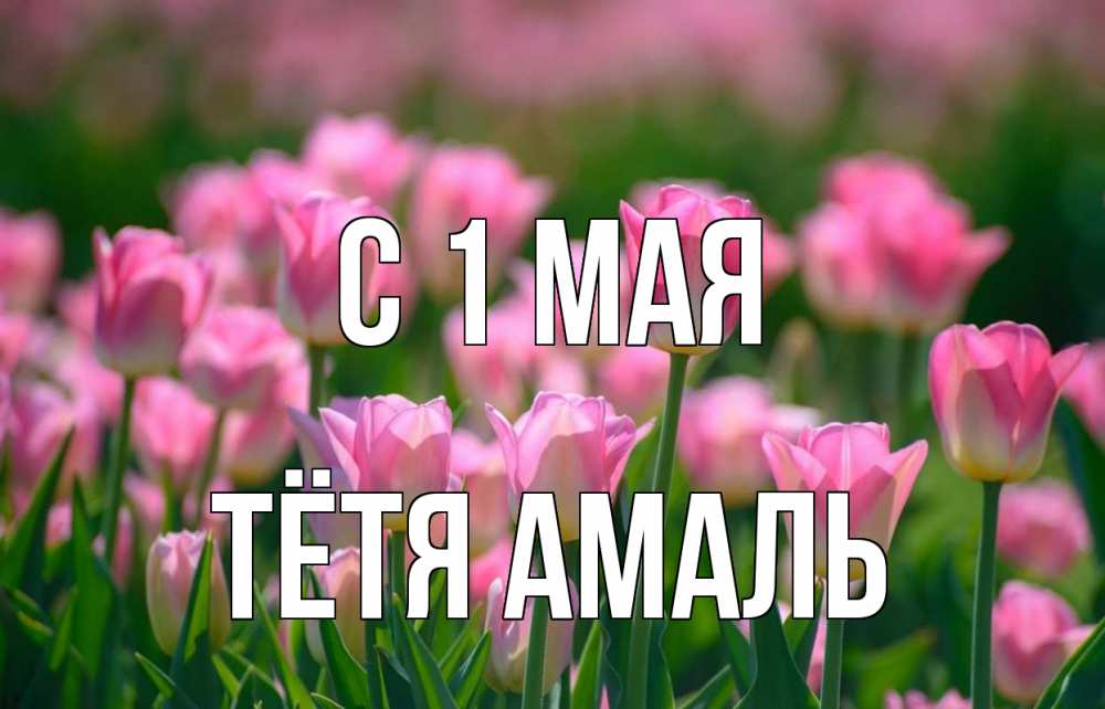 Открытка на каждый день с именем, Тётя-Амаль С 1 мая С 1 мая Прикольная открытка с пожеланием онлайн скачать бесплатно 