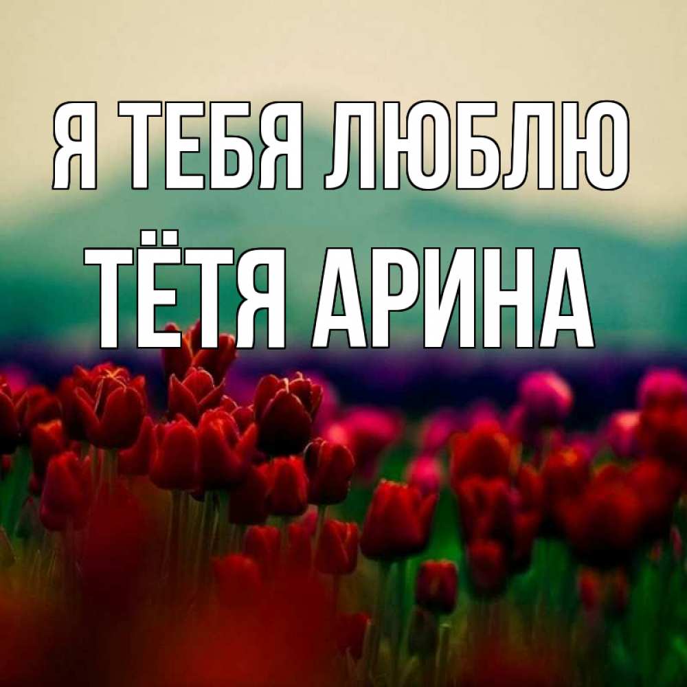 Открытка на каждый день с именем, Тётя-Арина Я тебя люблю тюльпаны 4 Прикольная открытка с пожеланием онлайн скачать бесплатно 