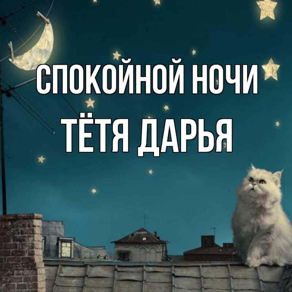 Открытка на каждый день с именем, Тётя-Дарья Спокойной ночи белый кот сидит на крыше Прикольная открытка с пожеланием онлайн скачать бесплатно 