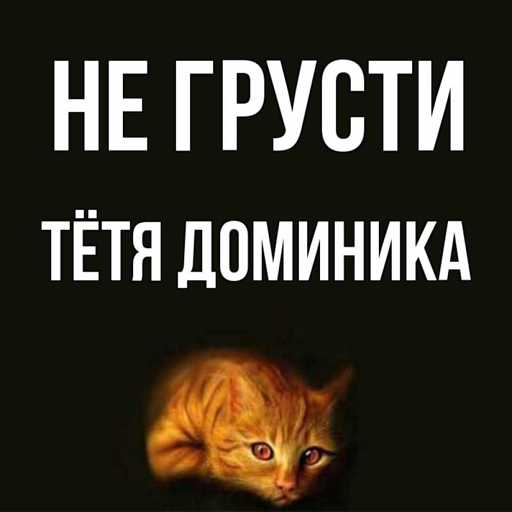 Открытка на каждый день с именем, Тётя-Доминика Не грусти лежащий кот в темноте Прикольная открытка с пожеланием онлайн скачать бесплатно 