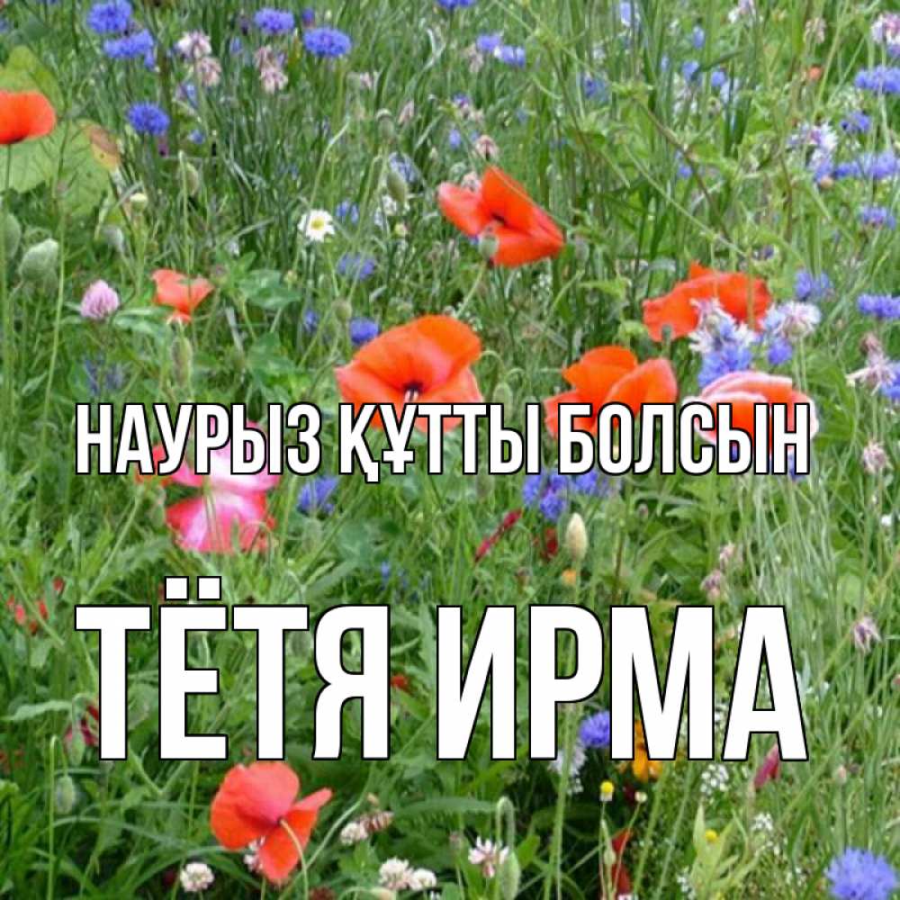 Открытка на каждый день с именем, Тётя-Ирма Наурыз құтты болсын наурыз  4 Прикольная открытка с пожеланием онлайн скачать бесплатно 