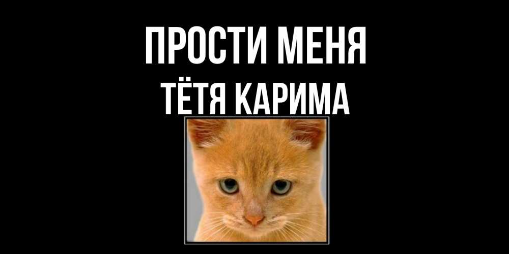 Открытка на каждый день с именем, Тётя-Карима Прости меня рыжий грустный кот просит прощения Прикольная открытка с пожеланием онлайн скачать бесплатно 