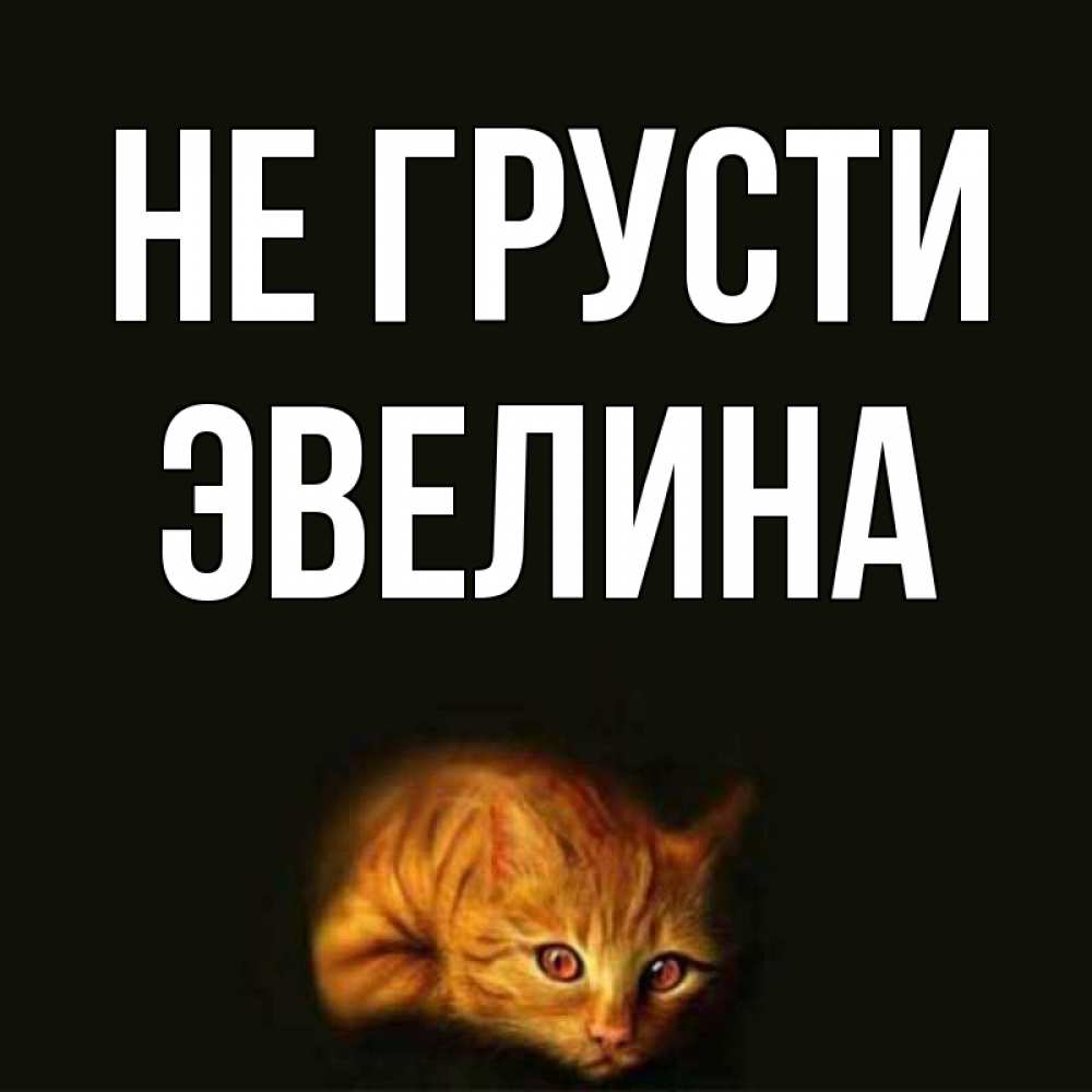 Открытка на каждый день с именем, Эвелина Не грусти лежащий кот в темноте Прикольная открытка с пожеланием онлайн скачать бесплатно 