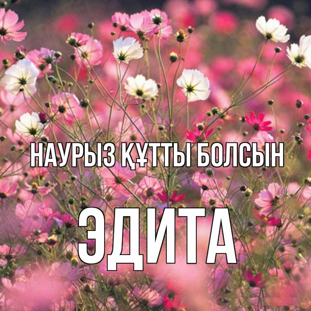 Открытка на каждый день с именем, Эдита Наурыз құтты болсын красиво 1 Прикольная открытка с пожеланием онлайн скачать бесплатно 