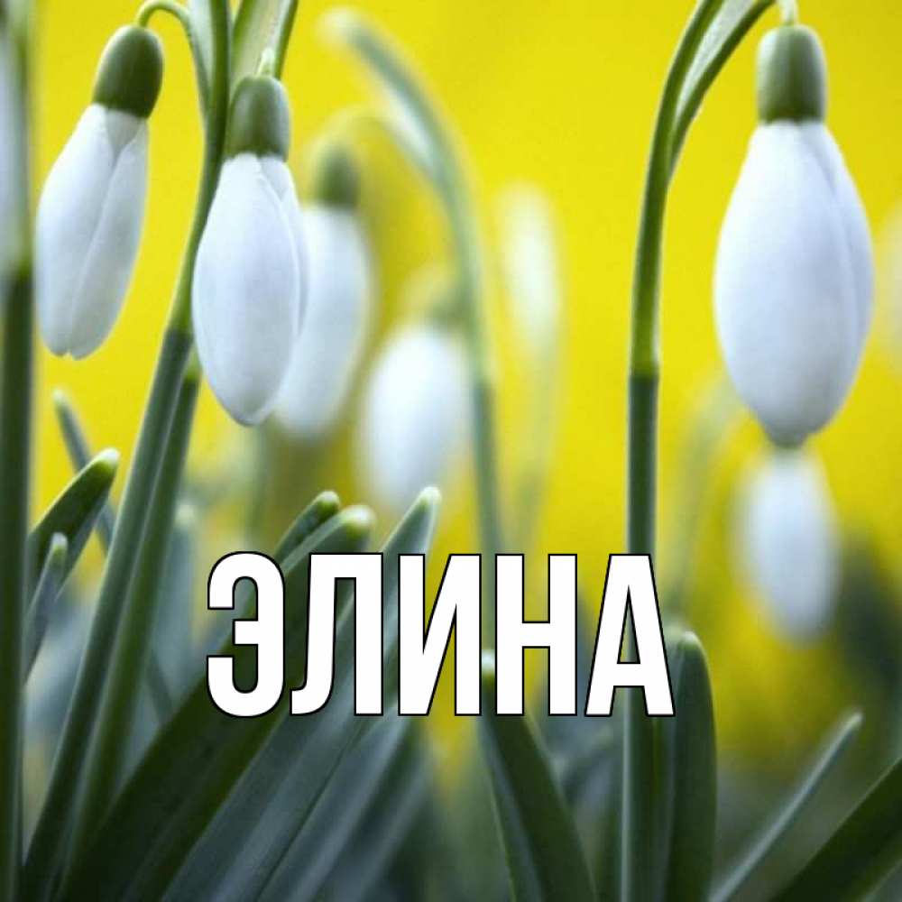 Открытка на каждый день с именем, Элина Главная весенние цветы Прикольная открытка с пожеланием онлайн скачать бесплатно 