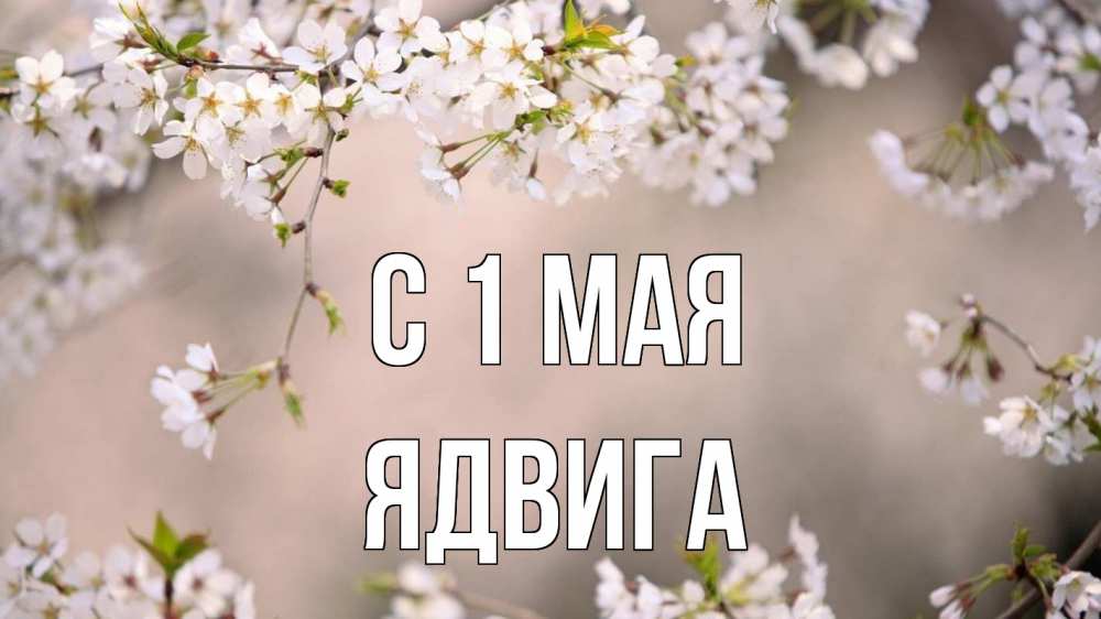 Открытка на каждый день с именем, Ядвига С 1 мая С 1 мая Прикольная открытка с пожеланием онлайн скачать бесплатно 