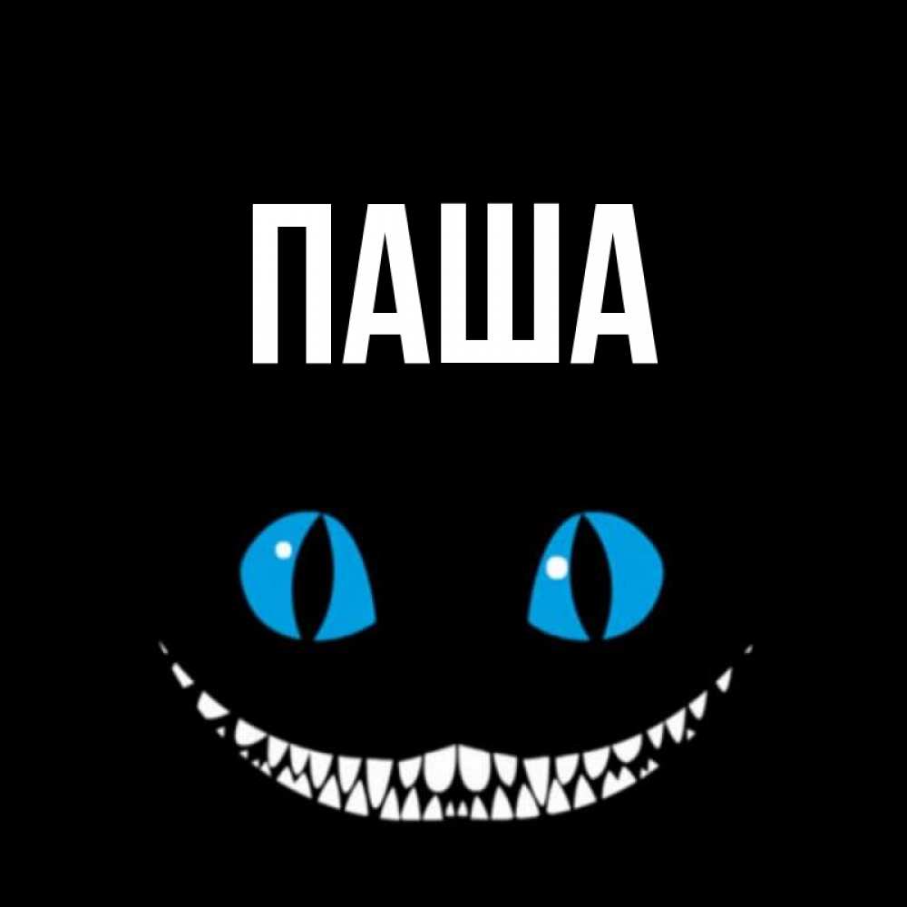 Открытка на каждый день с именем, паша Главная благодарю от чеширика Прикольная открытка с пожеланием онлайн скачать бесплатно 