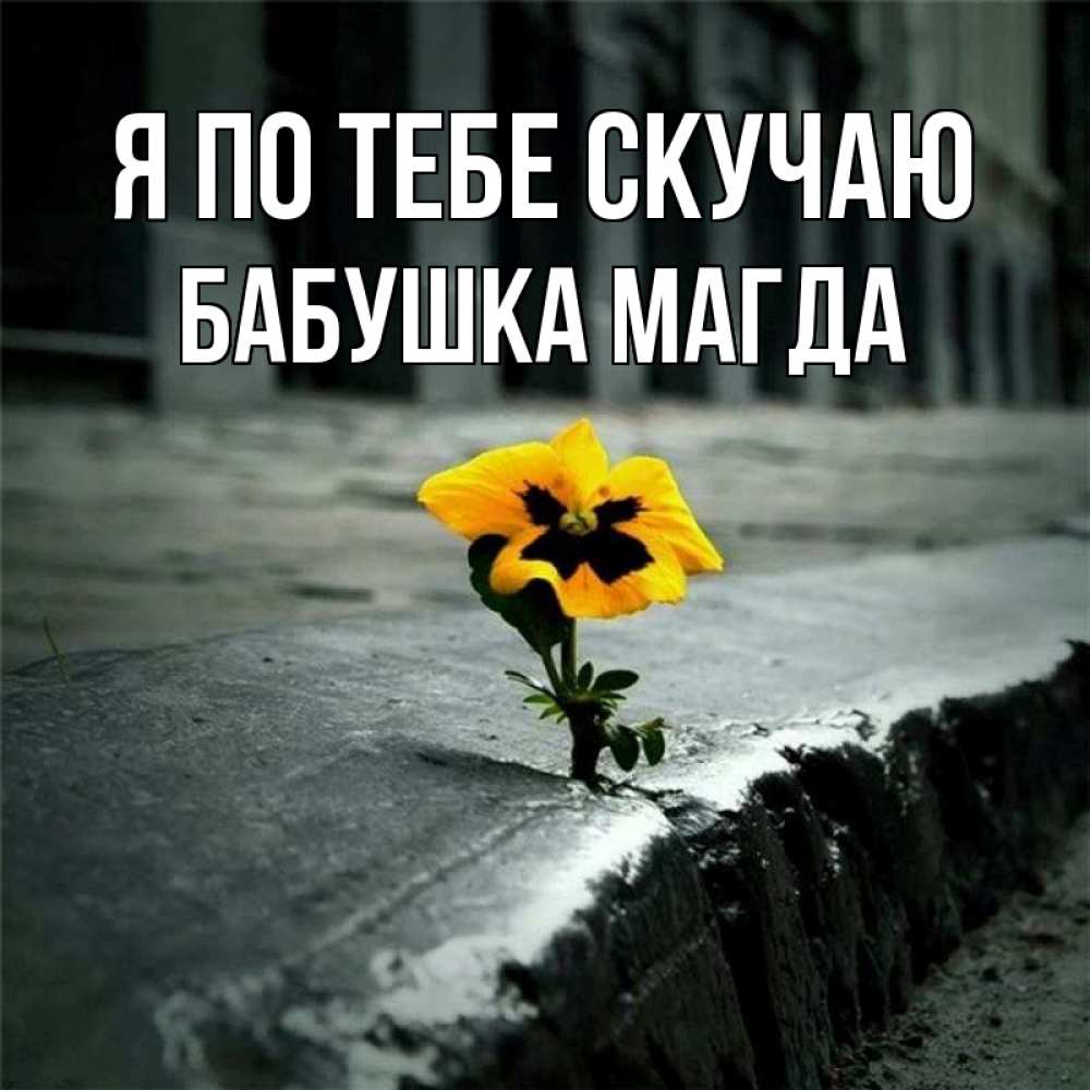 Открытка на каждый день с именем, Бабушка-Магда Я по тебе скучаю надеюсь будет лучше Прикольная открытка с пожеланием онлайн скачать бесплатно 