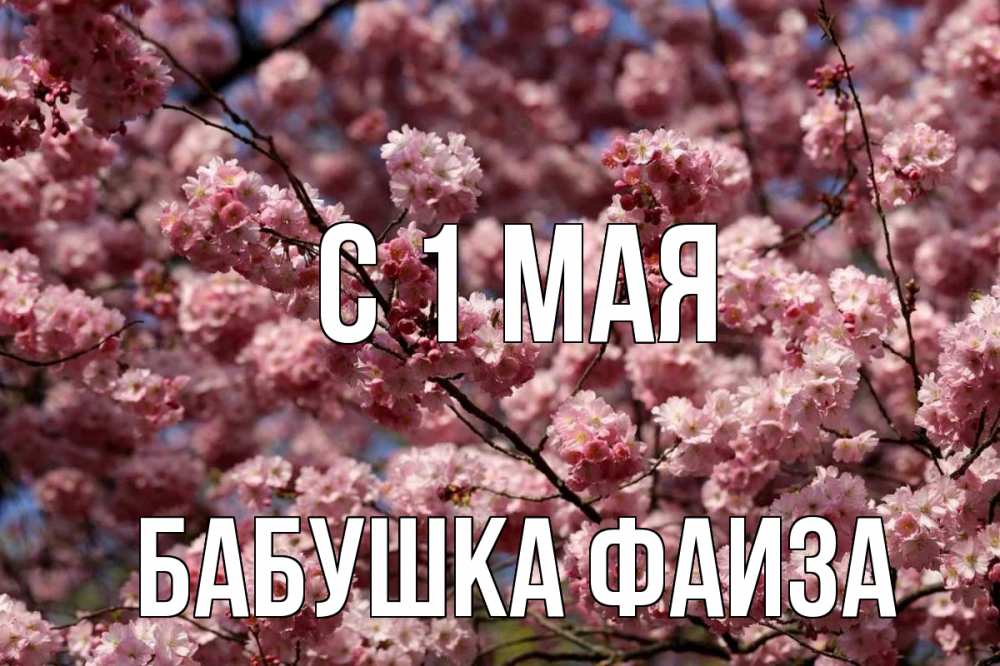 Открытка на каждый день с именем, Бабушка-Фаиза С 1 мая С 1 мая Прикольная открытка с пожеланием онлайн скачать бесплатно 