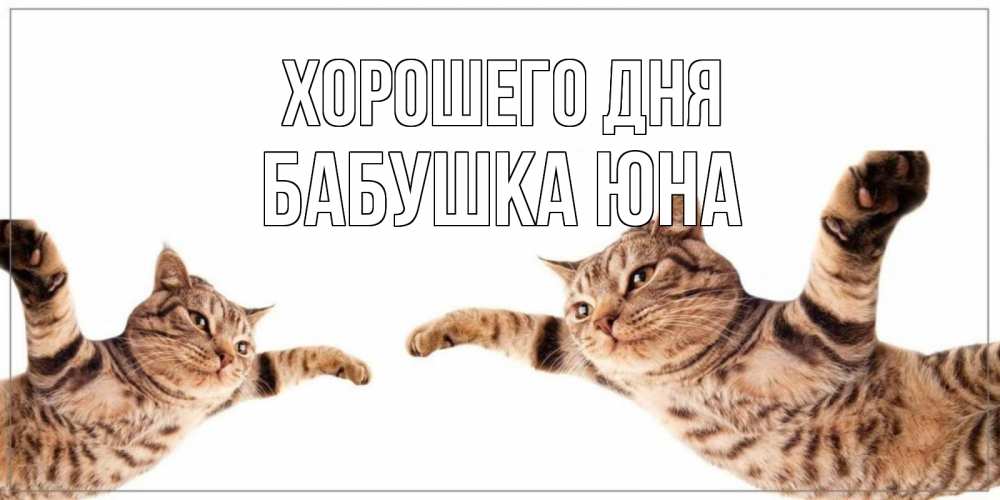 Открытка на каждый день с именем, Бабушка-Юна Хорошего дня хорошего дня Прикольная открытка с пожеланием онлайн скачать бесплатно 