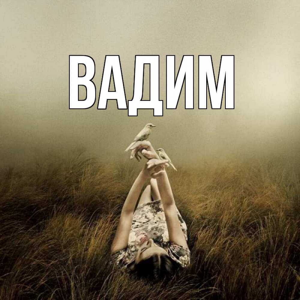 Открытка на каждый день с именем, Вадим Главная поле и туман Прикольная открытка с пожеланием онлайн скачать бесплатно 