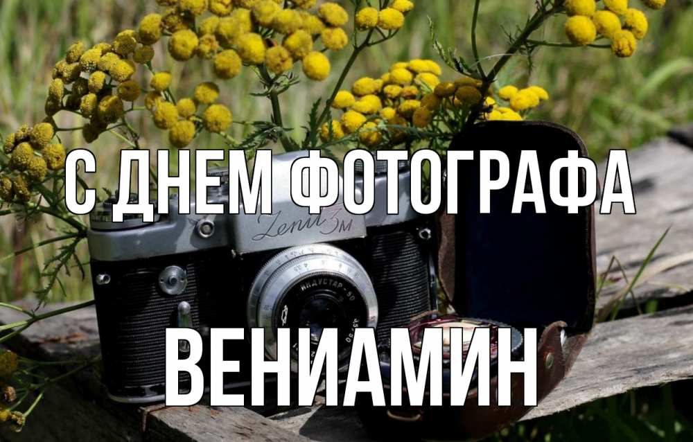 Открытка на каждый день с именем, Вениамин С днем фотографа с днем фотографа Прикольная открытка с пожеланием онлайн скачать бесплатно 