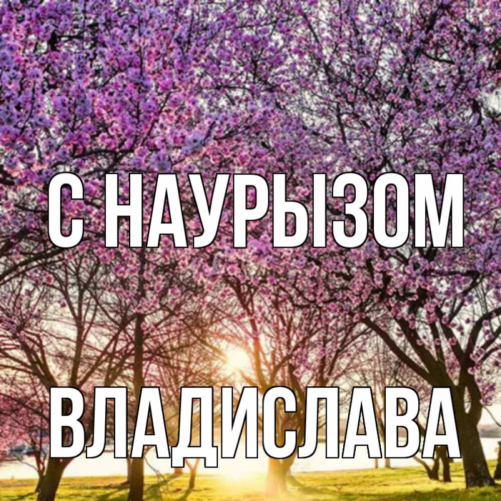 Открытка на каждый день с именем, Владислава С наурызом праздник весны наурыз Прикольная открытка с пожеланием онлайн скачать бесплатно 