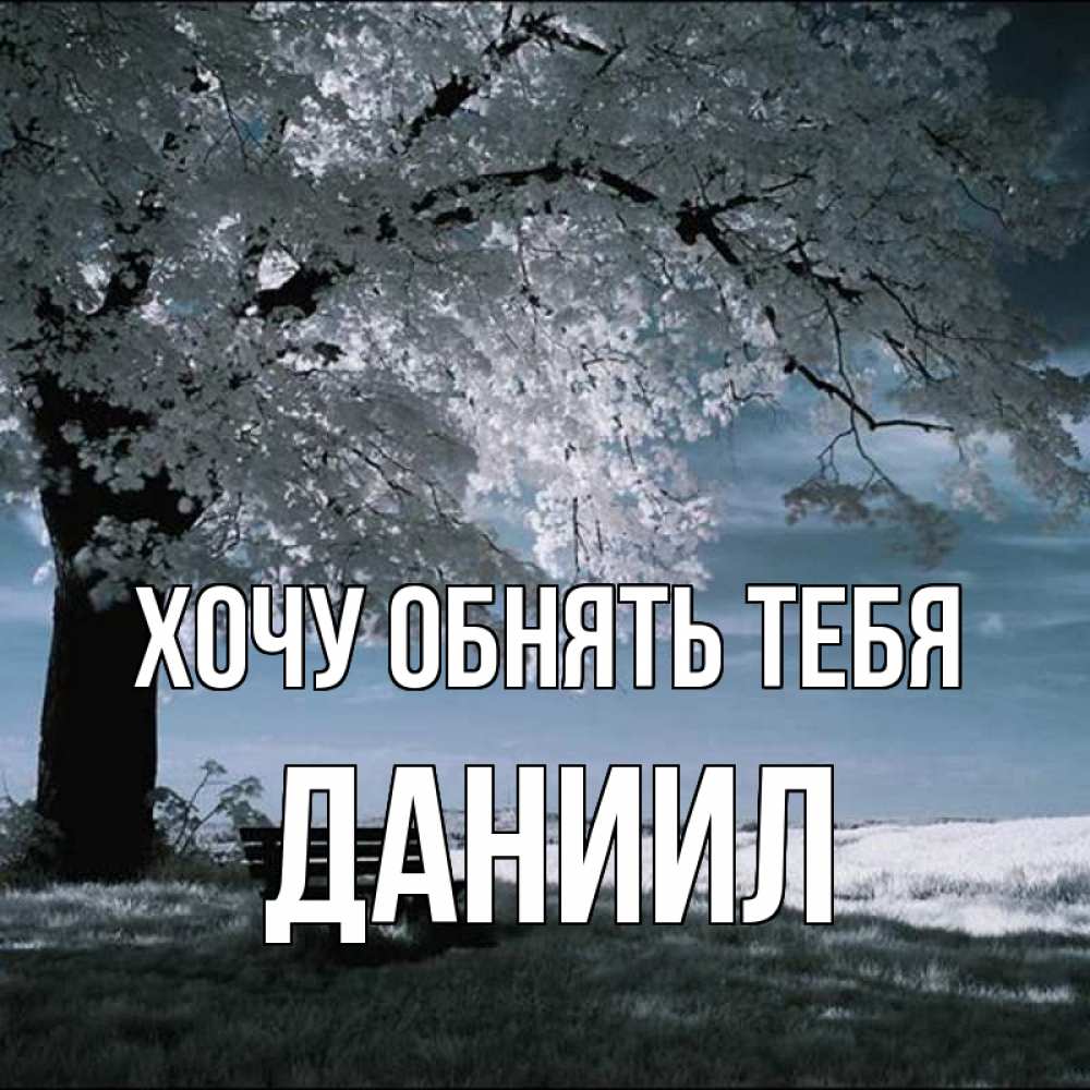 Открытка на каждый день с именем, Даниил Хочу обнять тебя дерево Прикольная открытка с пожеланием онлайн скачать бесплатно 
