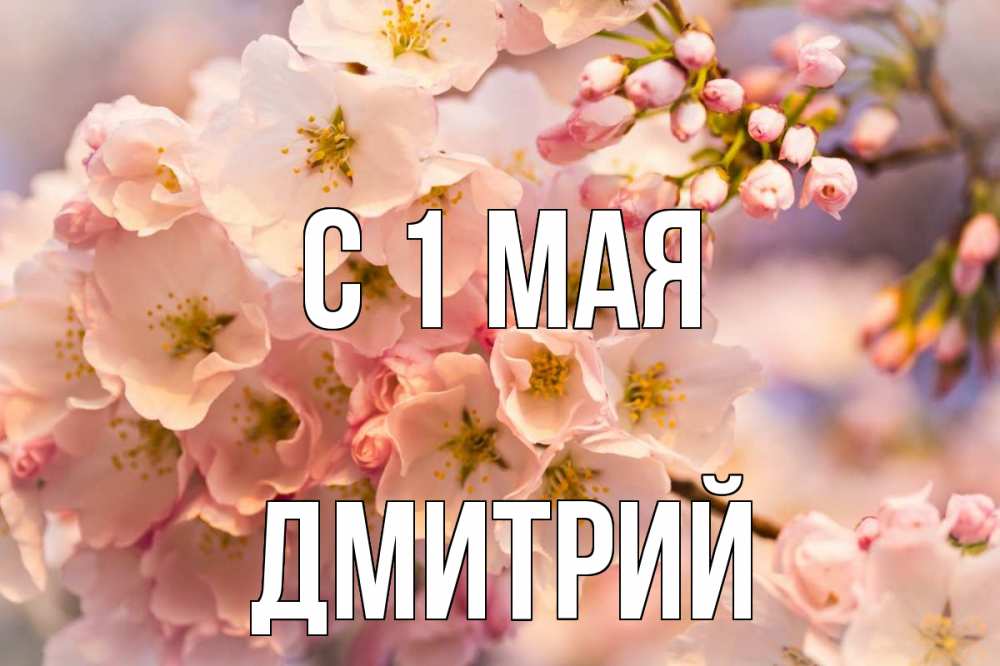 Открытка на каждый день с именем, Дмитрий С 1 мая С 1 мая Прикольная открытка с пожеланием онлайн скачать бесплатно 