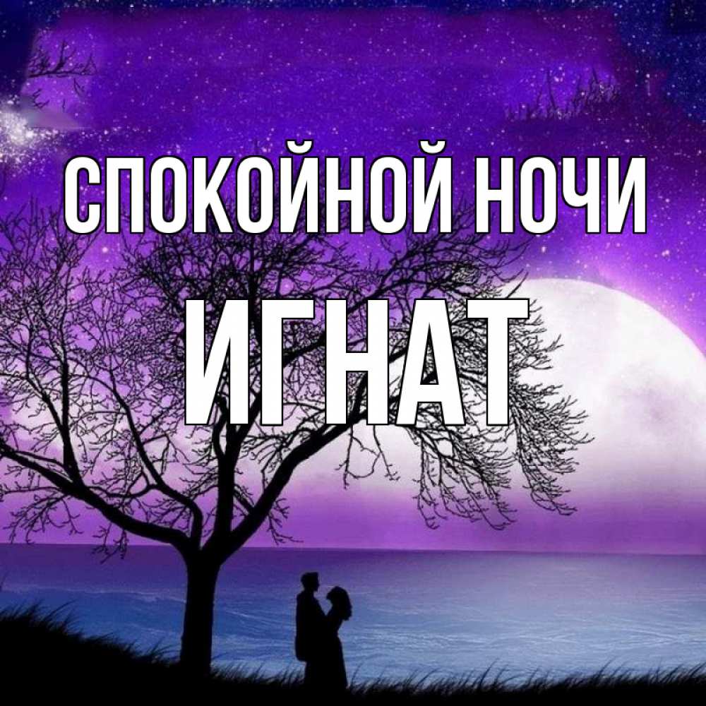 Открытка на каждый день с именем, Игнат Спокойной ночи огромная луна и парочка Прикольная открытка с пожеланием онлайн скачать бесплатно 