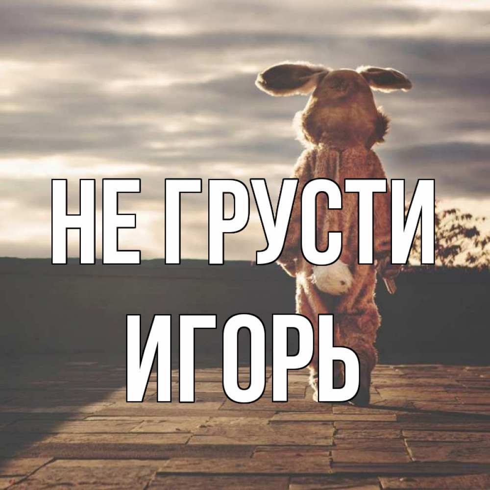 Открытка на каждый день с именем, Игорь Не грусти со спины Прикольная открытка с пожеланием онлайн скачать бесплатно 