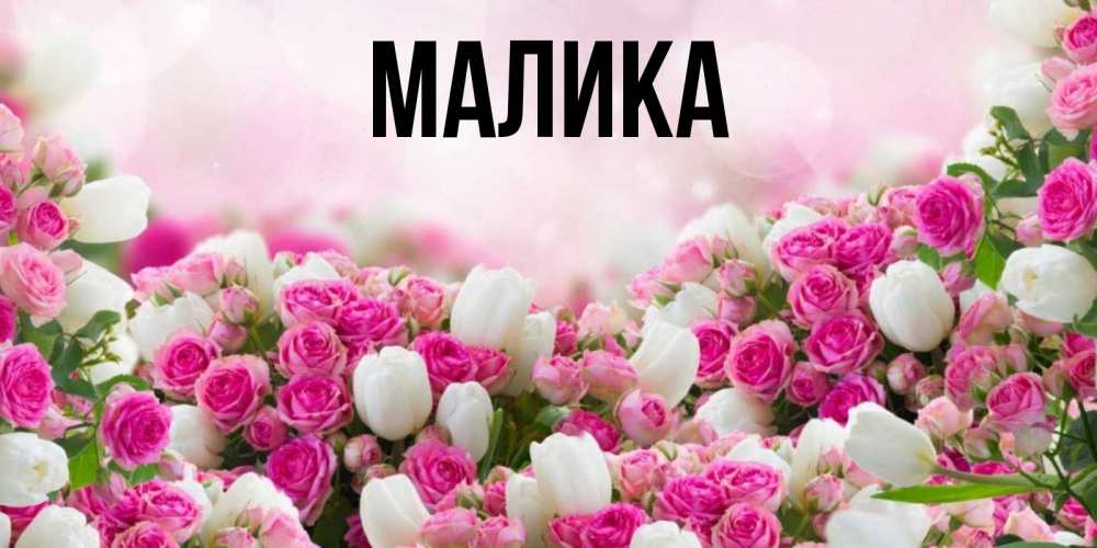Открытка на каждый день с именем, Малика Главная открытка с разными розами Прикольная открытка с пожеланием онлайн скачать бесплатно 