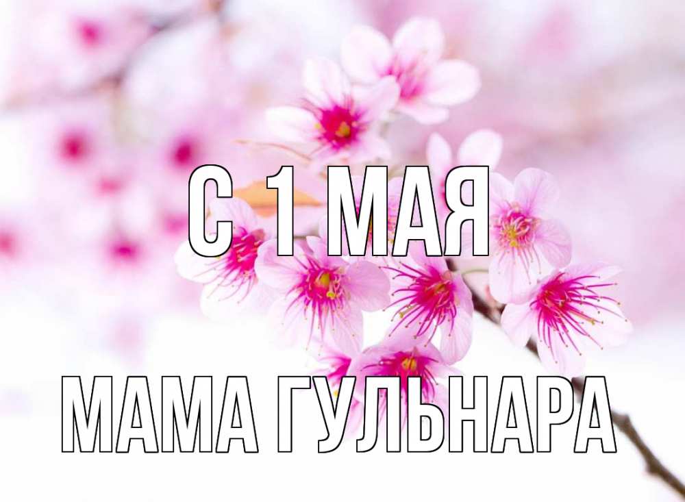 Открытка на каждый день с именем, Мама-Гульнара С 1 мая С 1 мая 2 Прикольная открытка с пожеланием онлайн скачать бесплатно 