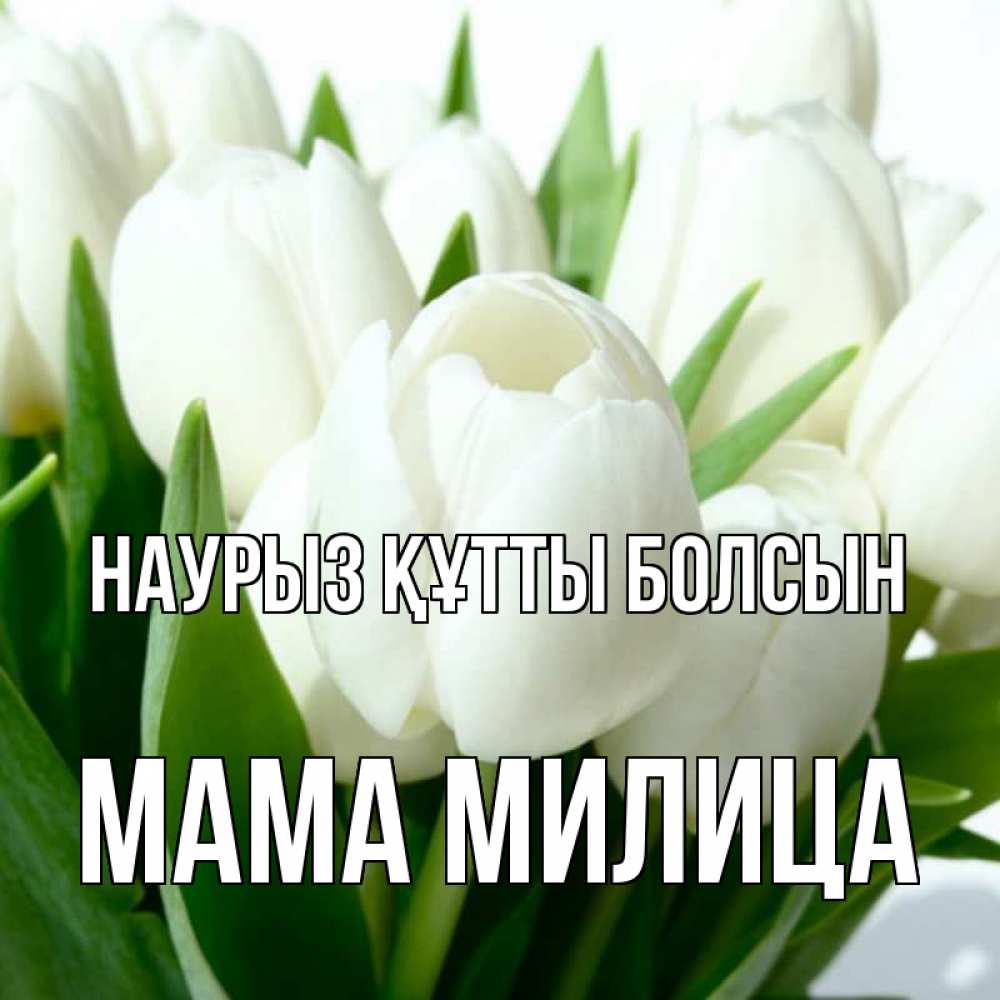 Открытка на каждый день с именем, Мама-Милица Наурыз құтты болсын цветы Прикольная открытка с пожеланием онлайн скачать бесплатно 