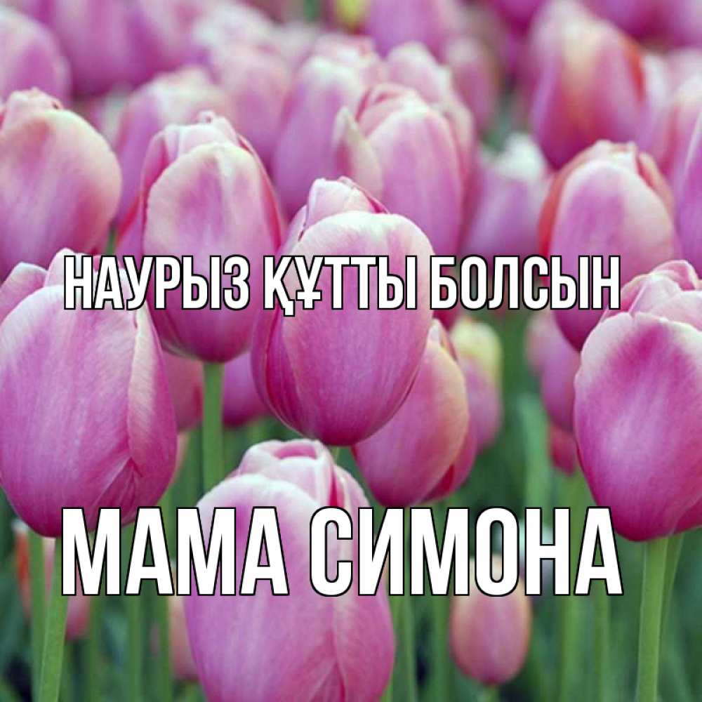 Открытка на каждый день с именем, Мама-Симона Наурыз құтты болсын на наурыз  день 3 Прикольная открытка с пожеланием онлайн скачать бесплатно 
