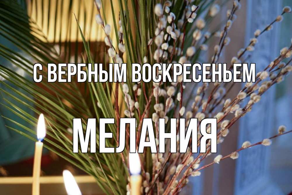 Открытка на каждый день с именем, Мелания С вербным воскресеньем верба Прикольная открытка с пожеланием онлайн скачать бесплатно 