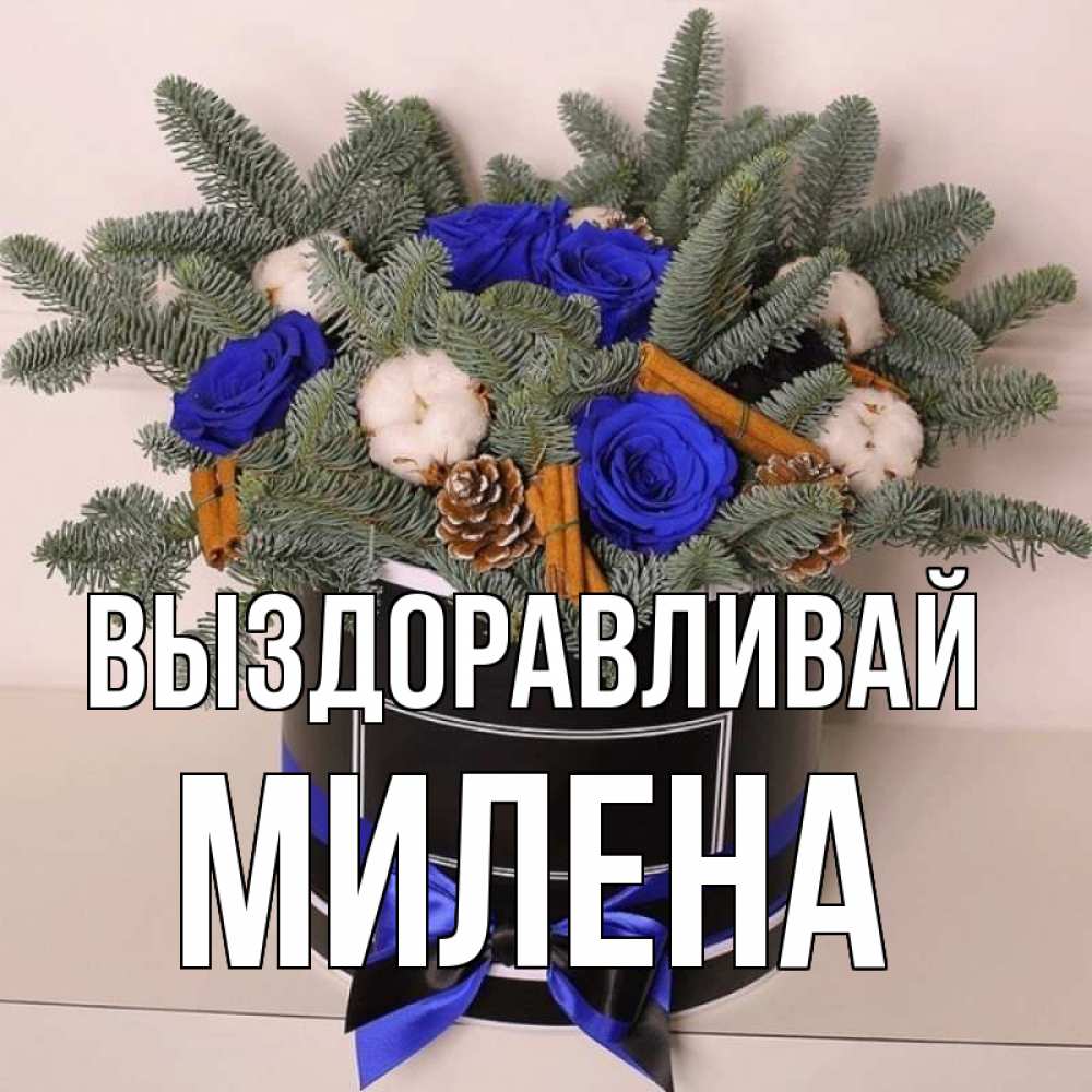 Открытка на каждый день с именем, Милена Выздоравливай короче кто то загрузил эти шишки Прикольная открытка с пожеланием онлайн скачать бесплатно 