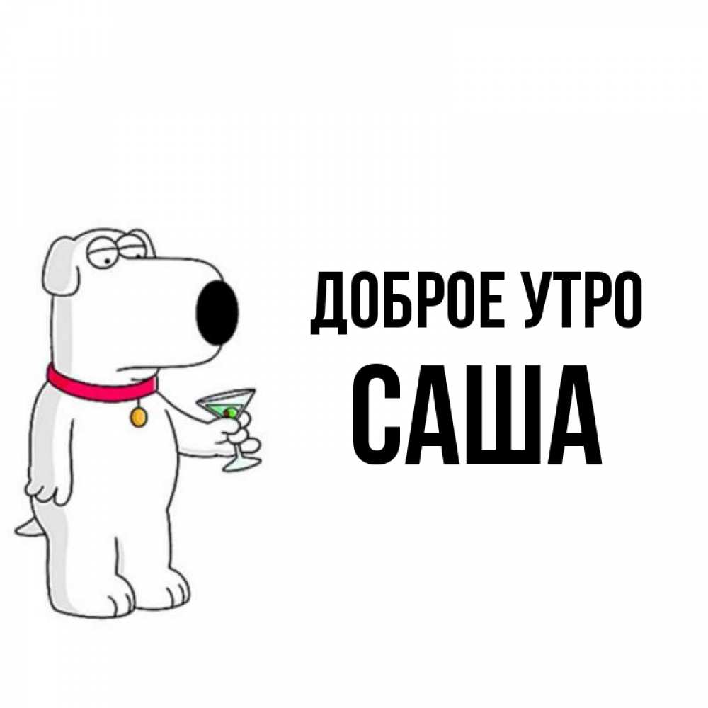 Открытка на каждый день с именем, Саша Доброе утро герои мультфильмов белый пес Прикольная открытка с пожеланием онлайн скачать бесплатно 