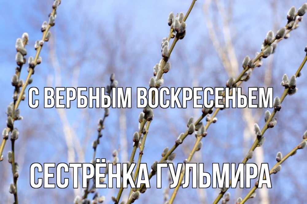 Открытка на каждый день с именем, Сестрёнка-Гульмира С вербным воскресеньем верба Прикольная открытка с пожеланием онлайн скачать бесплатно 